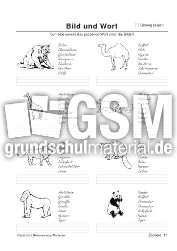 BuW Zootiere15.pdf
